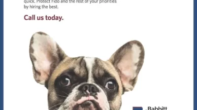 Pets Are Family! But Ohio Law Thinks They’re Just Property.